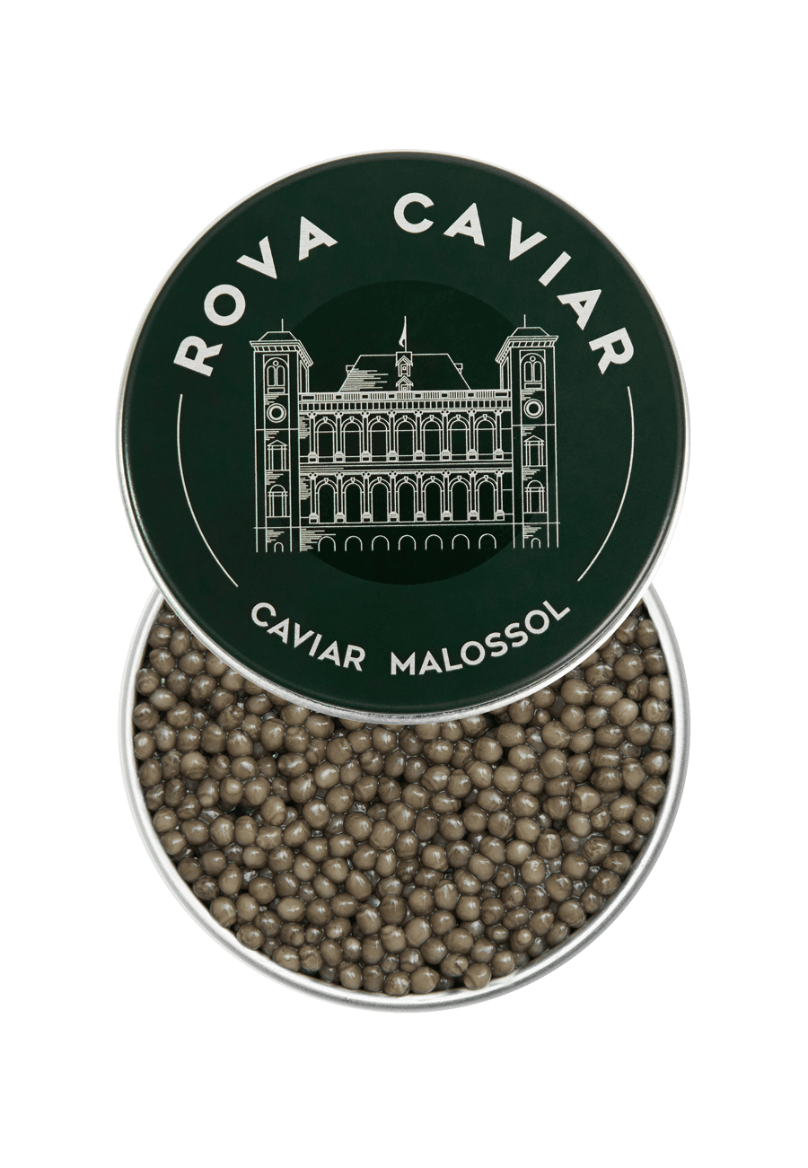 Osciètre Suprême - Rova Caviar