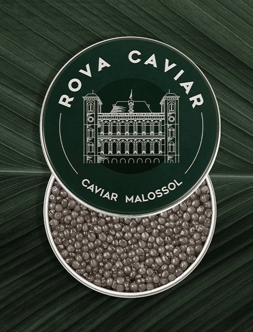 Open Ossetra Supreme Caviar Box with lid on natural background