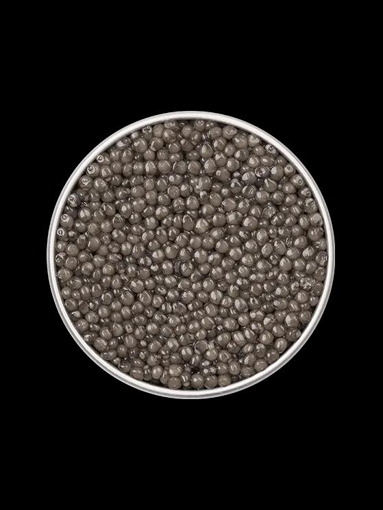 Boîte de caviar Osciètre Supreme ouverte sur fond naturel