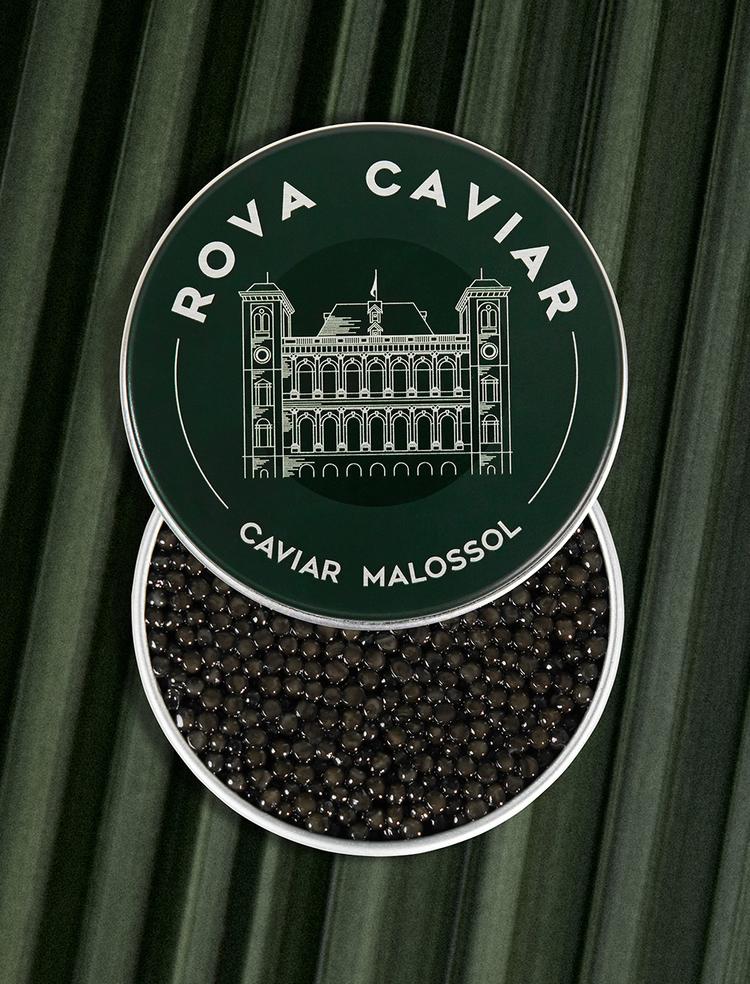 Semi-open box of Persicus Ossetra caviar on natural background