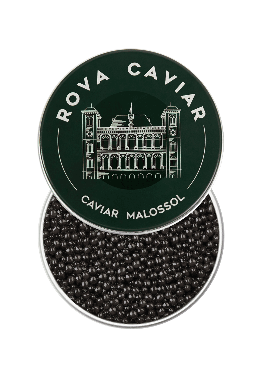 Persicus Royal - Rova Caviar
