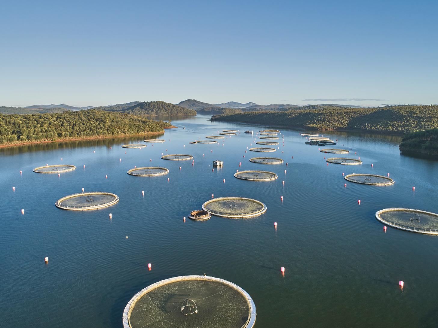 C’est dans un lac d’altitude de Madagascar aux eaux très pures que les esturgeons de Rova sont élevés.