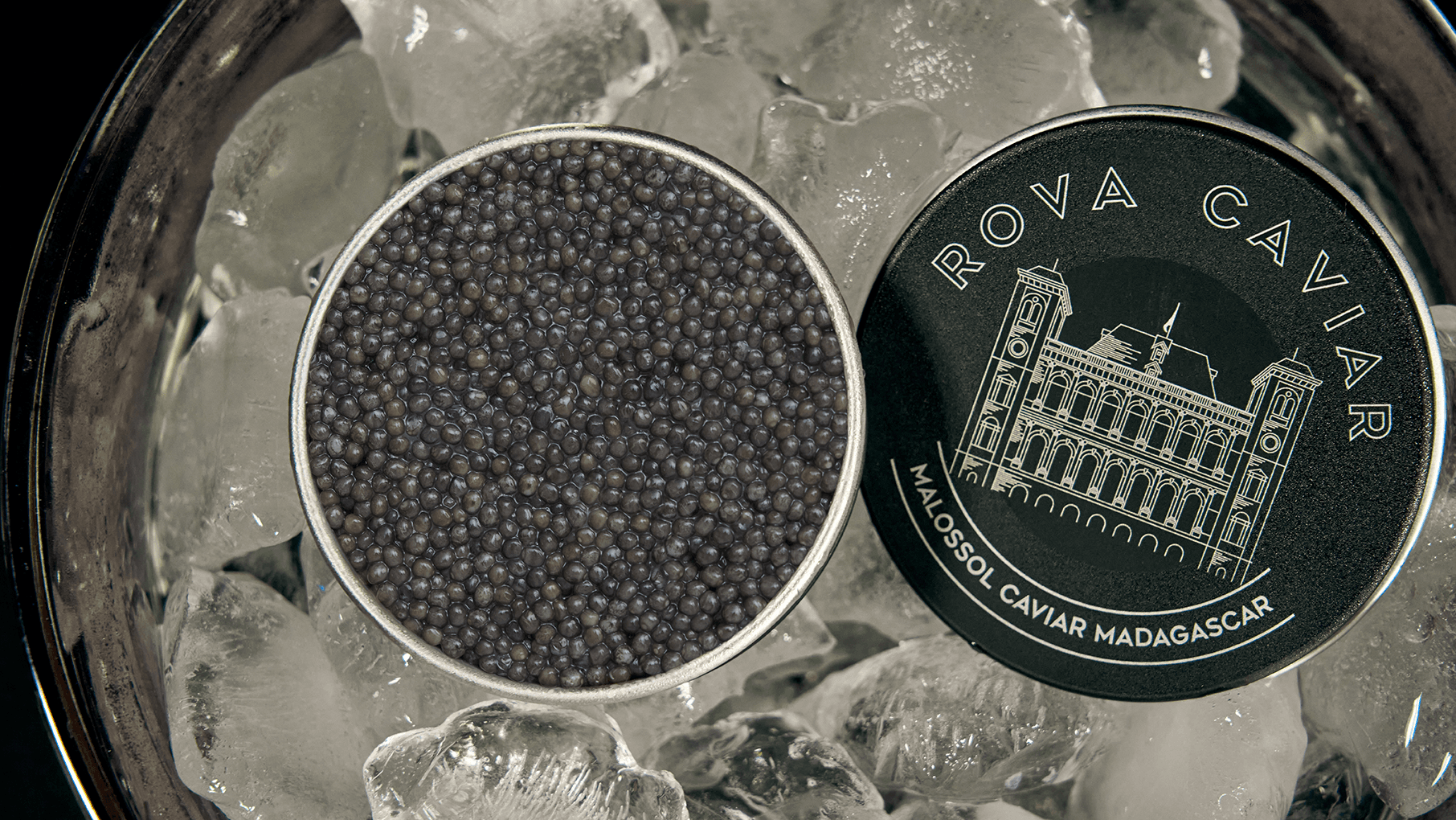 Caviar Sevruga