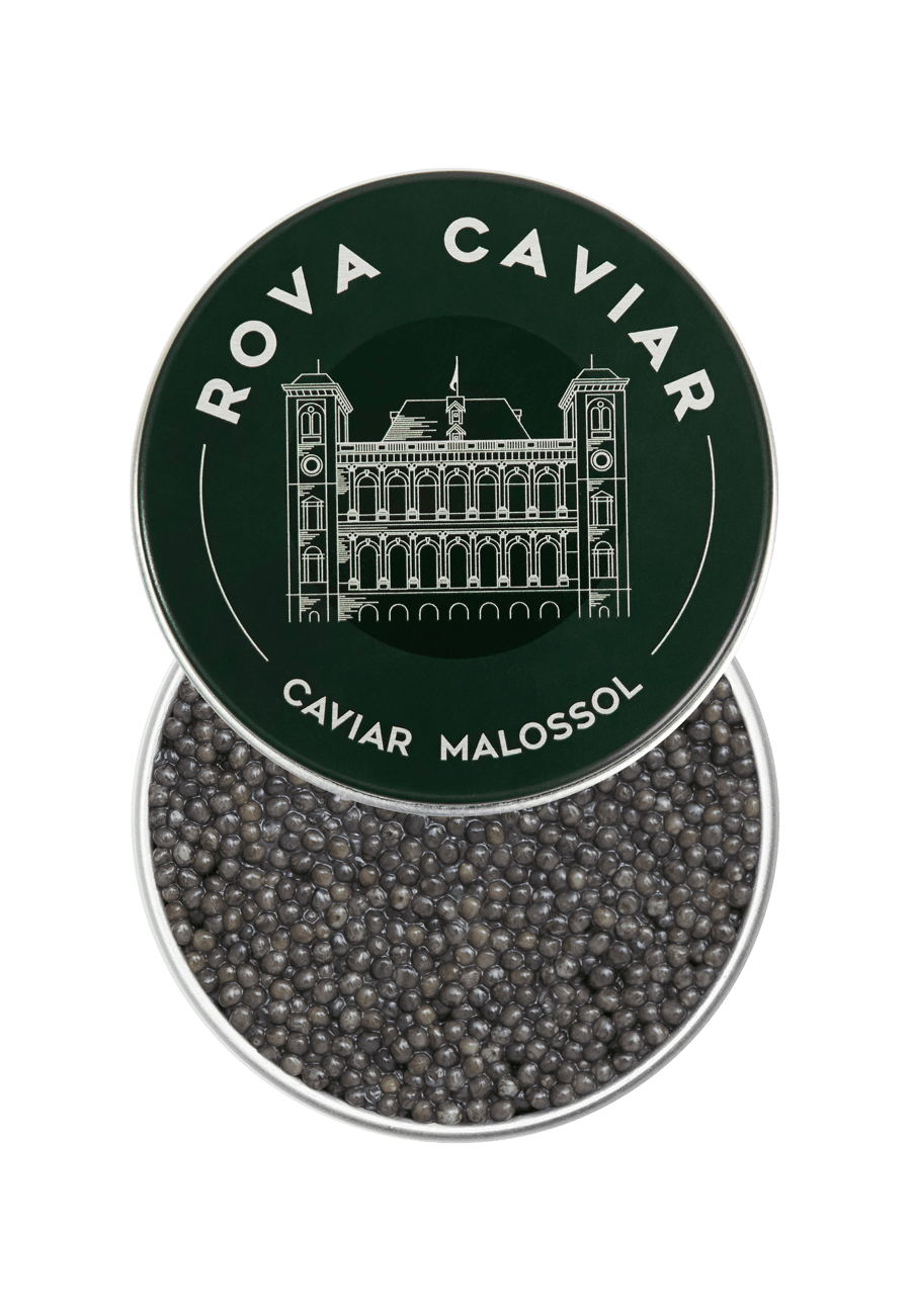 Sevruga Royal - Rova Caviar