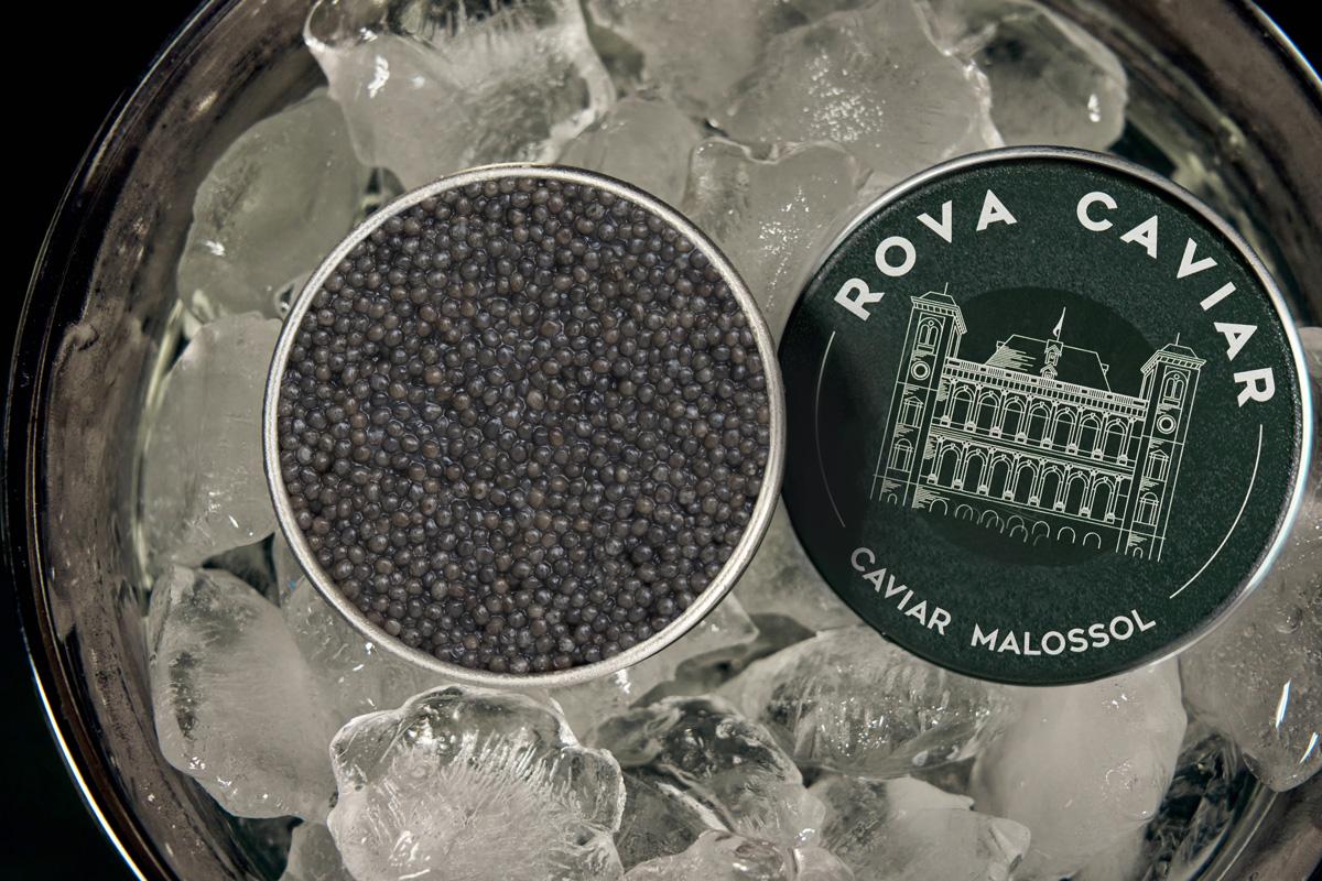 Open Persicus and Shipova Caviar Boxes