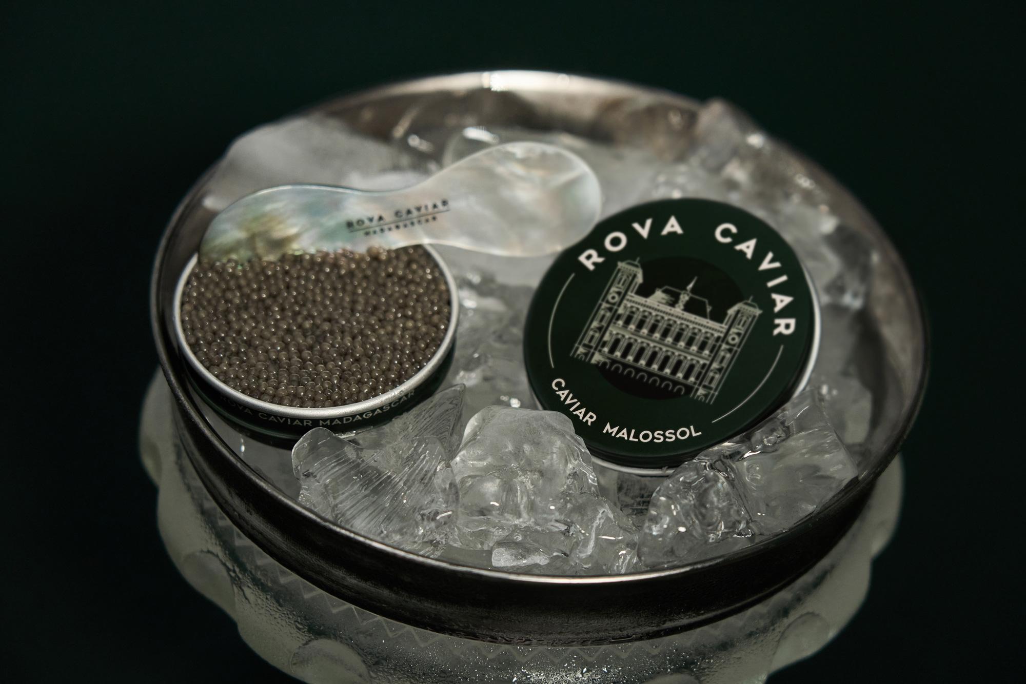 Open Shipova Caviar Box with lid and tasting spoon