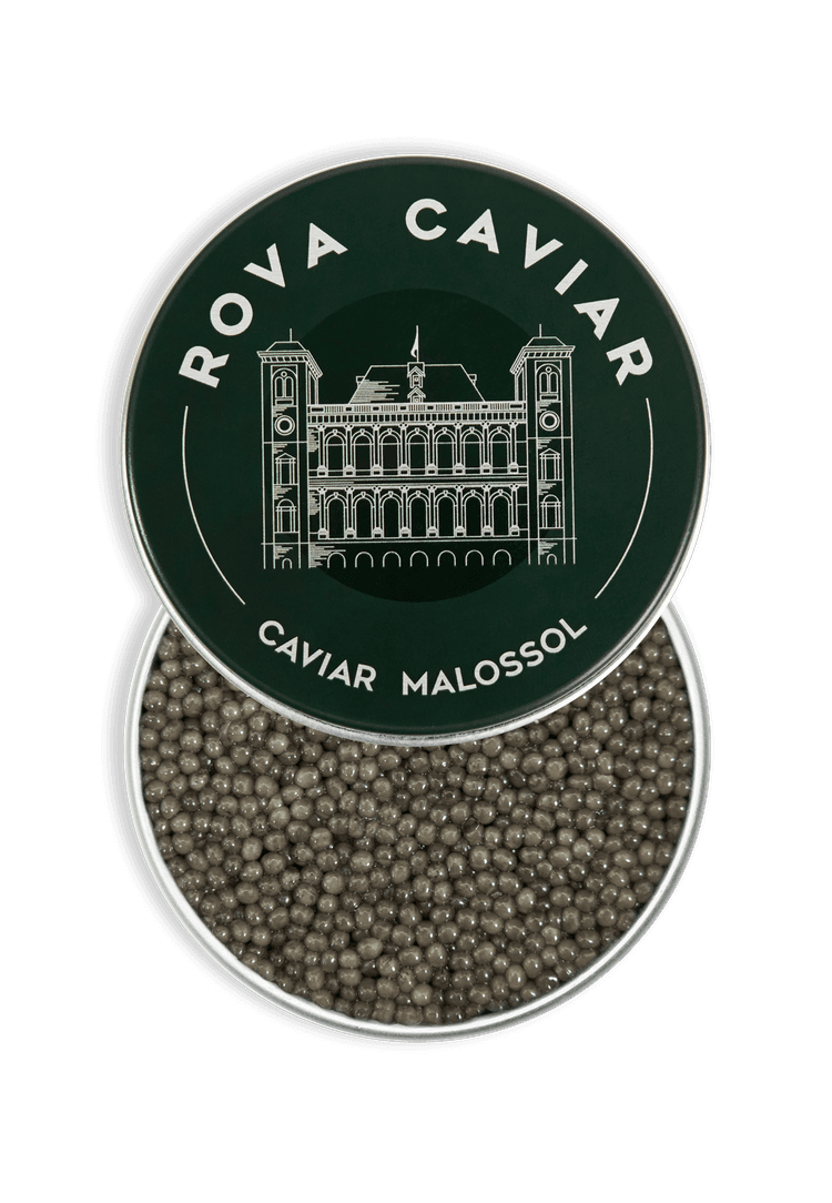 Open Shipova Caviar Box on a natural eucalyptus background with lid