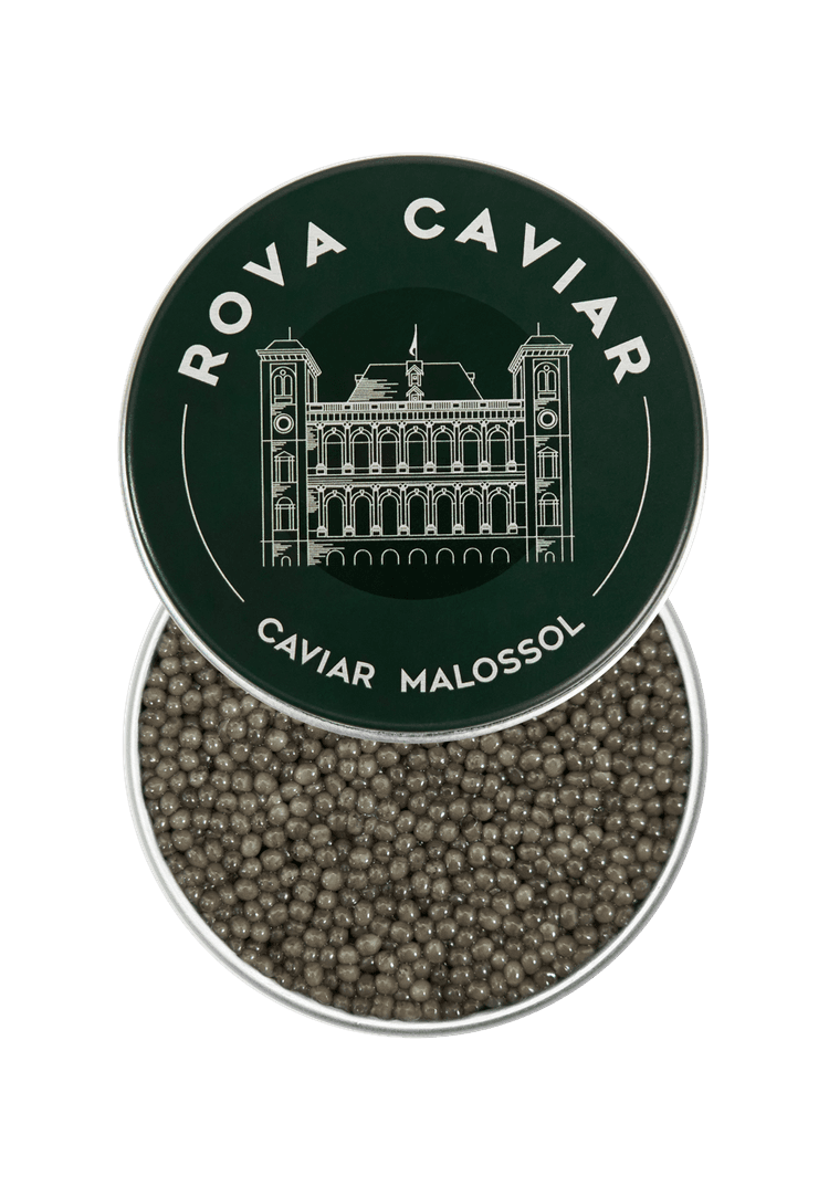 Open Shipova Caviar Box on a natural eucalyptus background with lid
