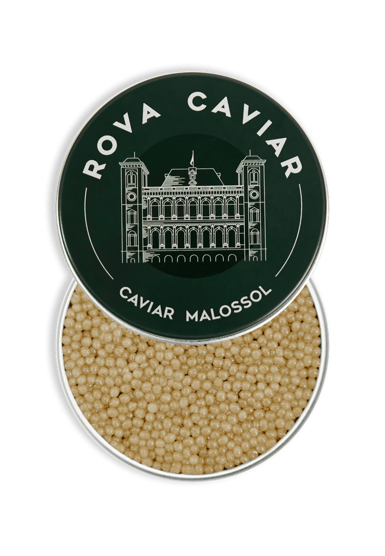 Open Shipova Caviar Box on a natural eucalyptus background with lid