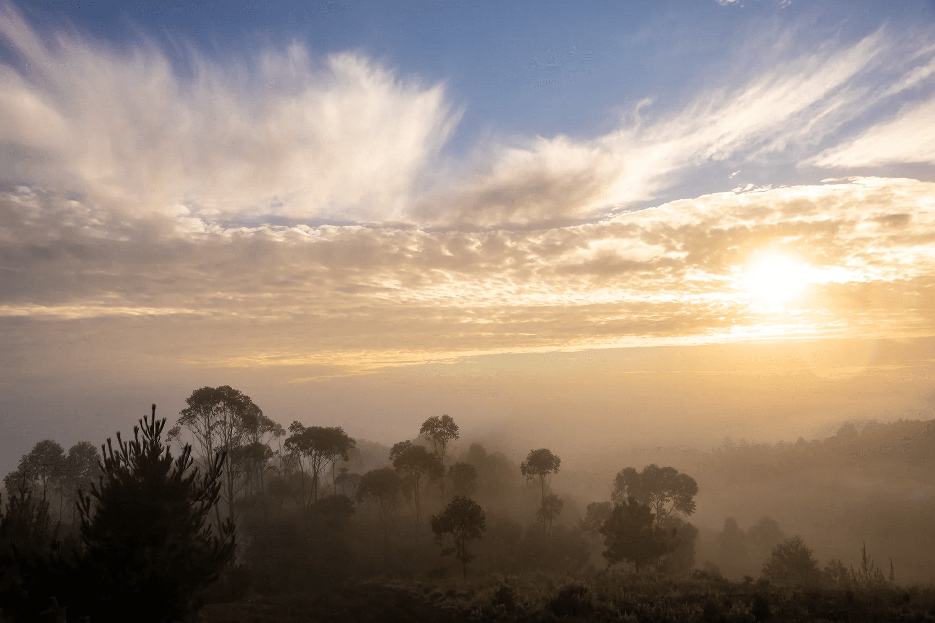 Sunrise Landscape with Light Mist