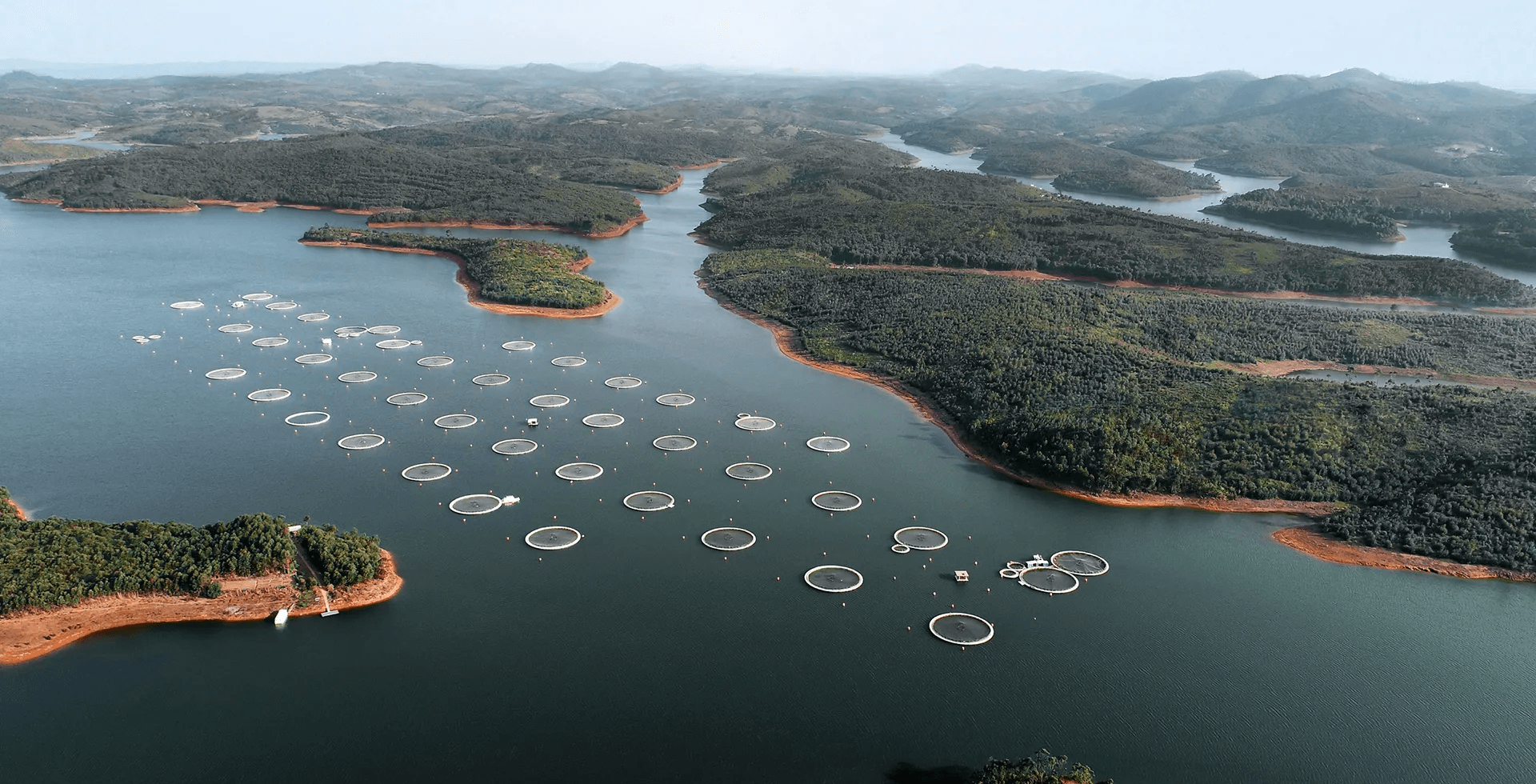 Farm structures on lake site as seen from a drone