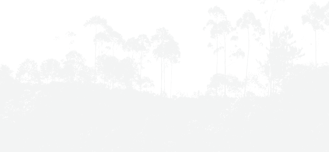 Illustration of Trees