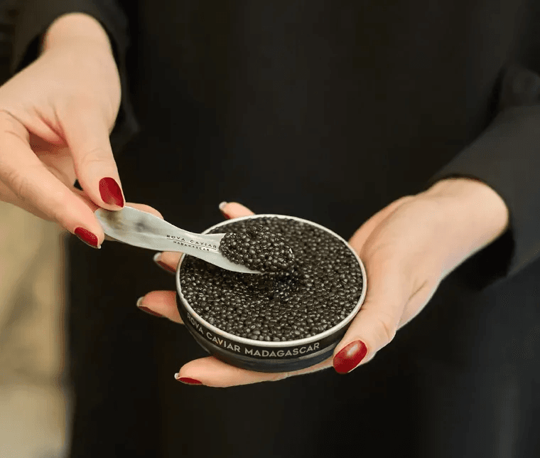 Dégustation élégante de boîte de caviar Rova 