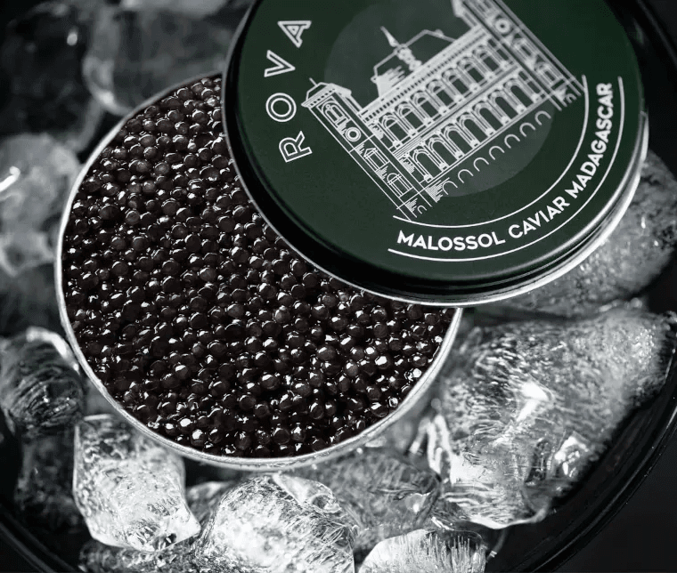 Boîte de caviar Baeri ouverte sur lit de glace pilée