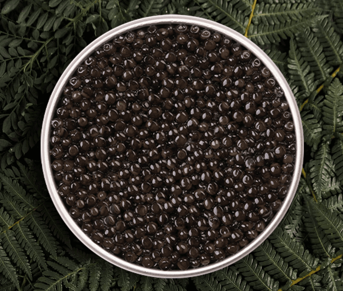 Boîte de caviar Rova sur fond naturel