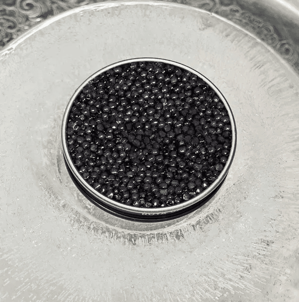 Boîte de caviar sur dôme de glace