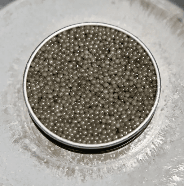 Boîte de caviar Shipova ouverte sur fond naturel d'eucalyptus avec couvercle