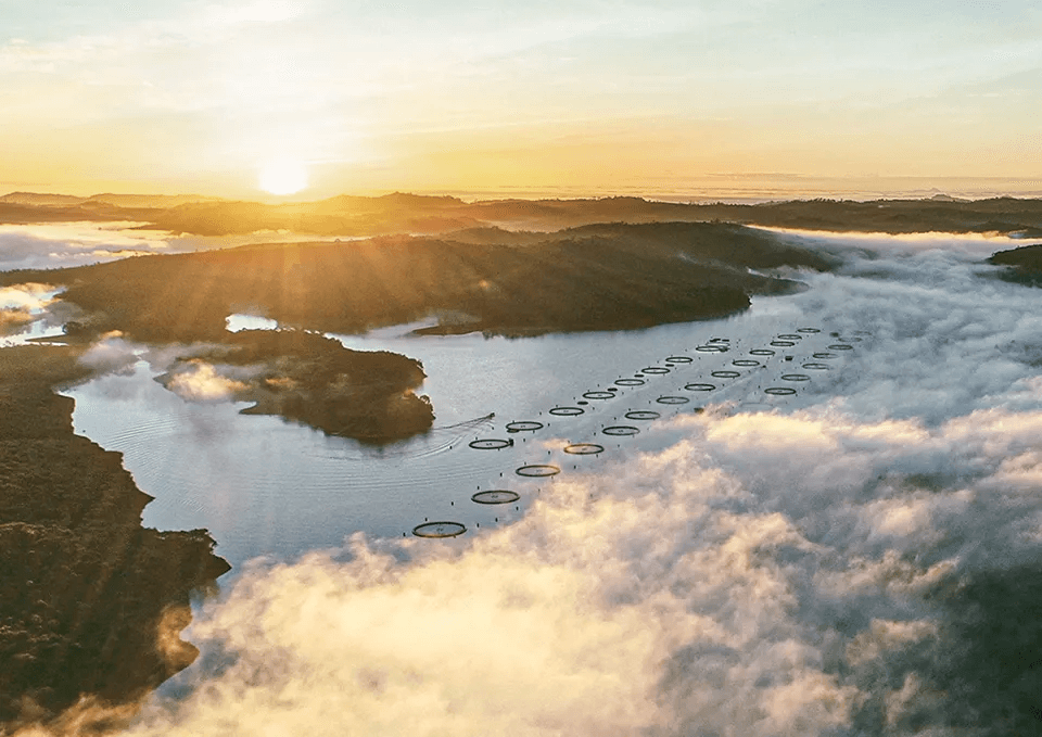 Vue drone sur le site lac au lever du soleil