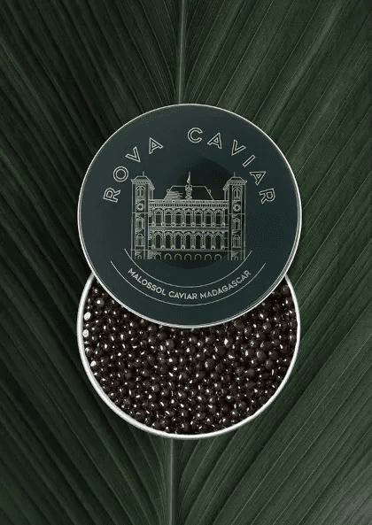 Semi-open box of Ossetra caviar on natural background