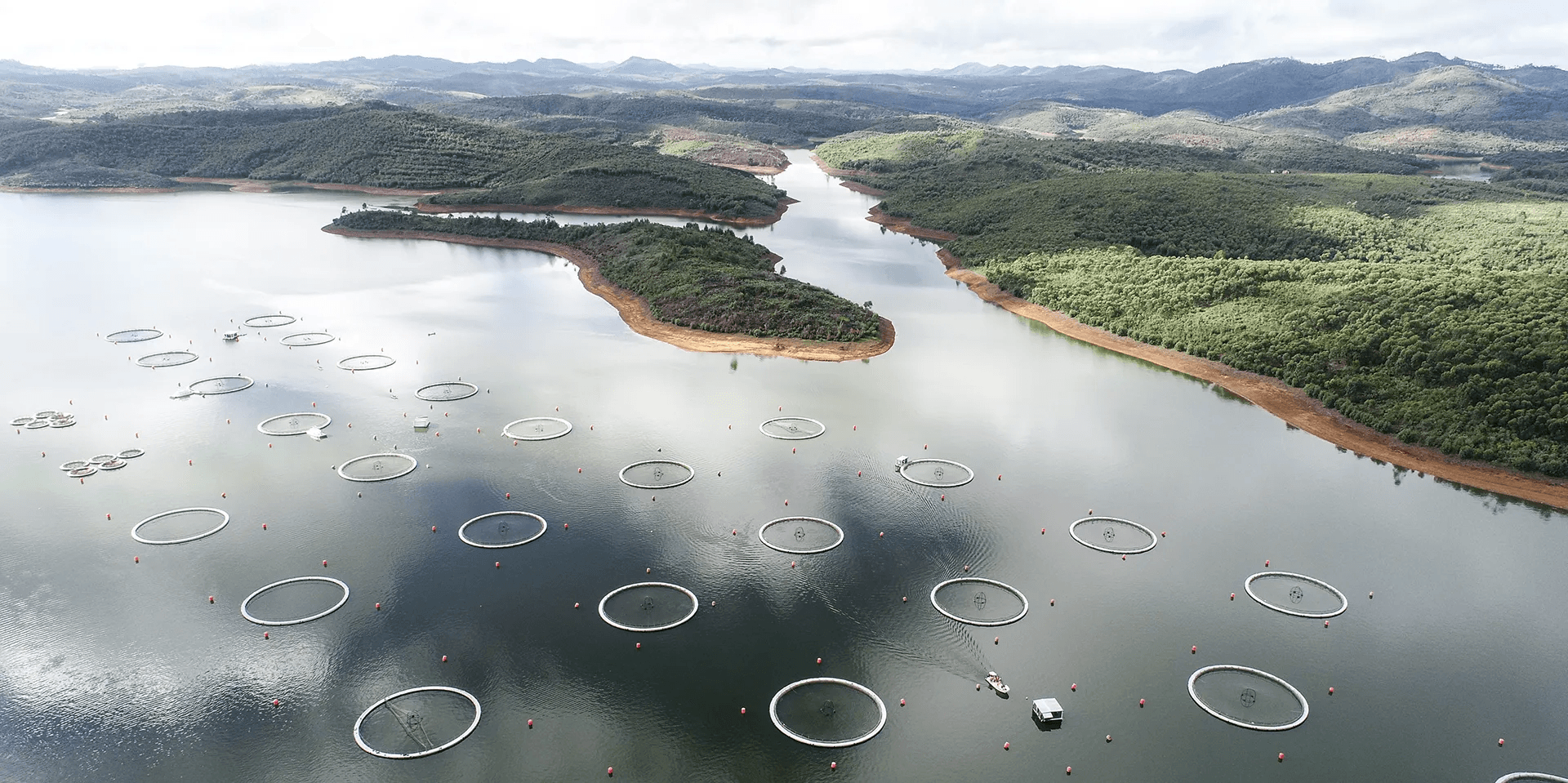 Structures d'élevage sur site lac vue de drône et bateau