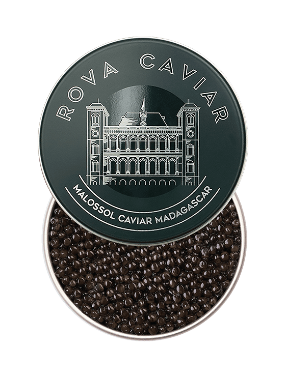 Baeri Royal - Rova Caviar