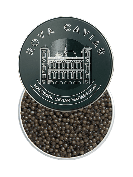 Osciètre Impérial - Rova Caviar