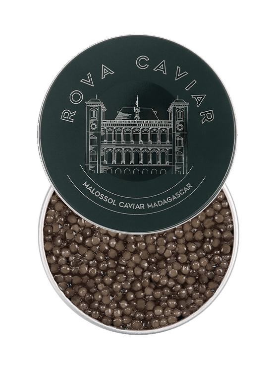 Caviar Persicus ouvert sur fond naturel avec cuillère en nacre