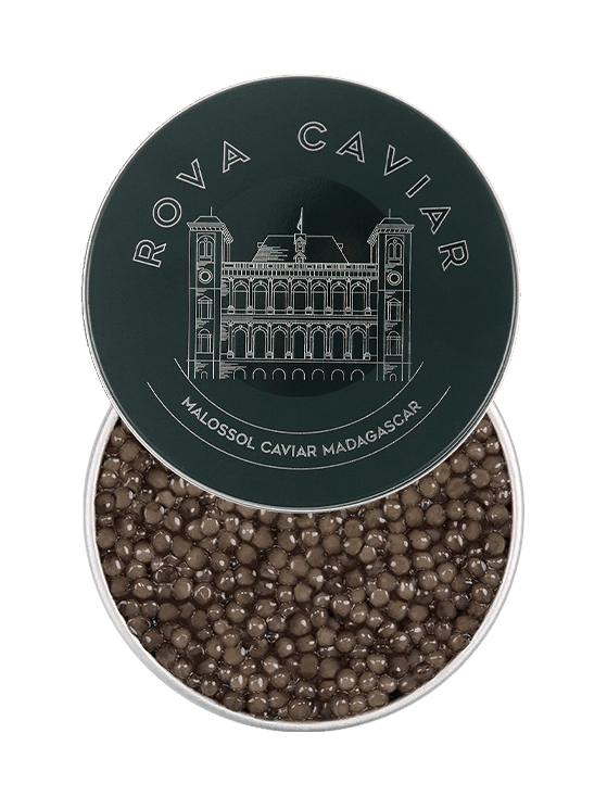 Semi-open box of Imperial Ossetra caviar on natural background