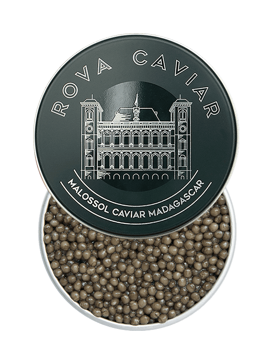 Boîte de caviar Osciètre Supreme ouverte avec couvercle sur fond naturel