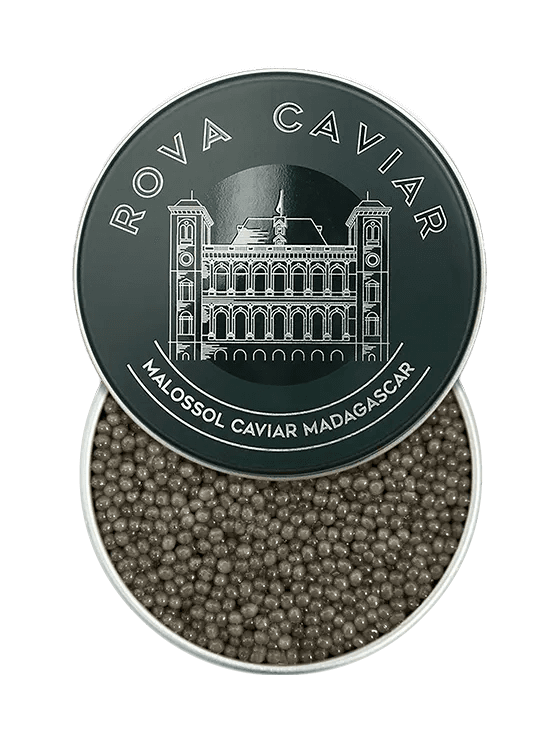 Shipova Royal - Rova Caviar