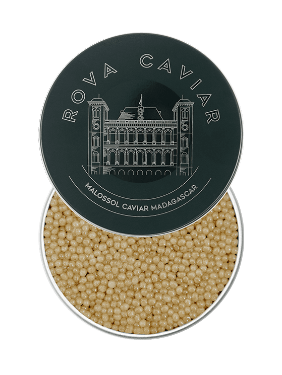 Boîte de caviar Shipova ouverte sur fond naturel d'eucalyptus avec couvercle