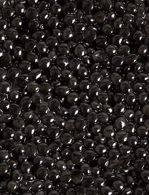 Close-up on Royal Persicus Ossetra caviar beads