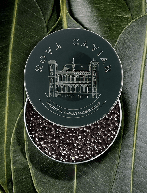 Boîte semi ouverte de caviar Baeri Royal  sur fond naturel 