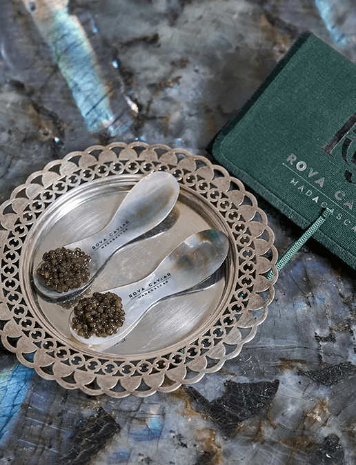 Mother-of-pearl spoon on a labradorite background