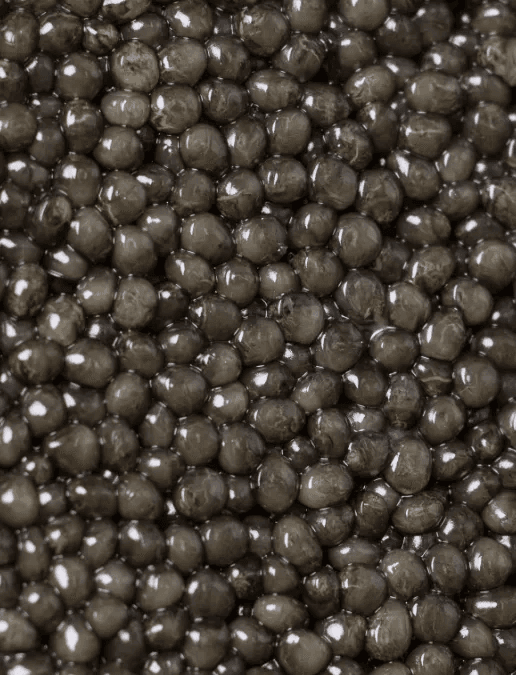 Close-up on Imperial Ossetra caviar beads