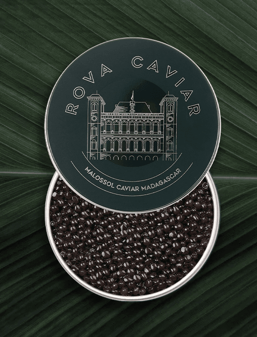 Boîte de caviar Osciètre Royal ouverte sur fond naturel