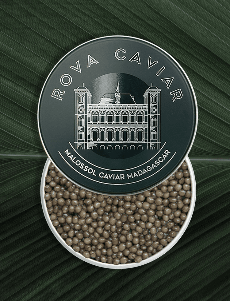 Boîte de caviar Osciètre Supreme ouverte avec couvercle sur fond naturel