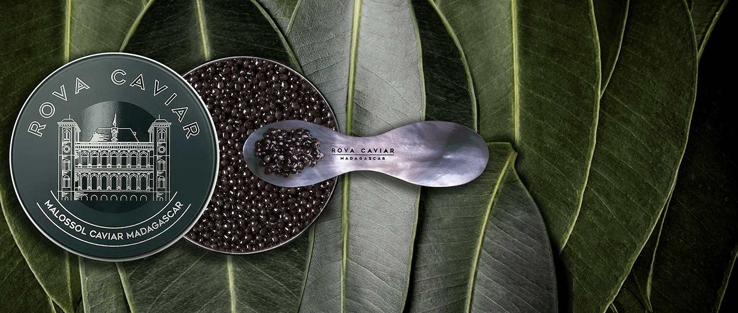 Baeri Imperial - Rova Caviar Madagascar