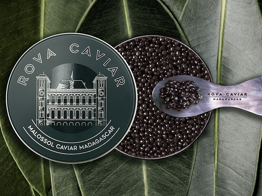 Baeri Imperial - Rova Caviar Madagascar