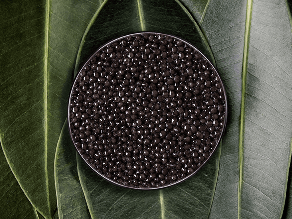 Baeri Imperial - Rova Caviar Madagascar