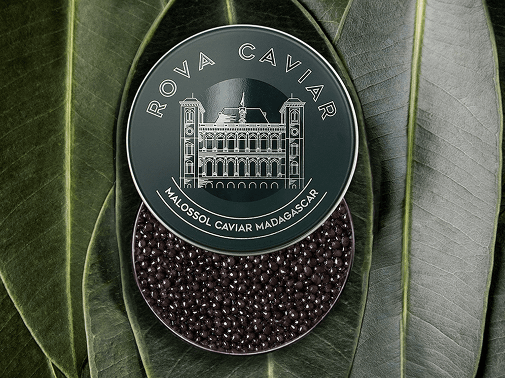 Imperial Baeri - Rova Caviar Madagascar