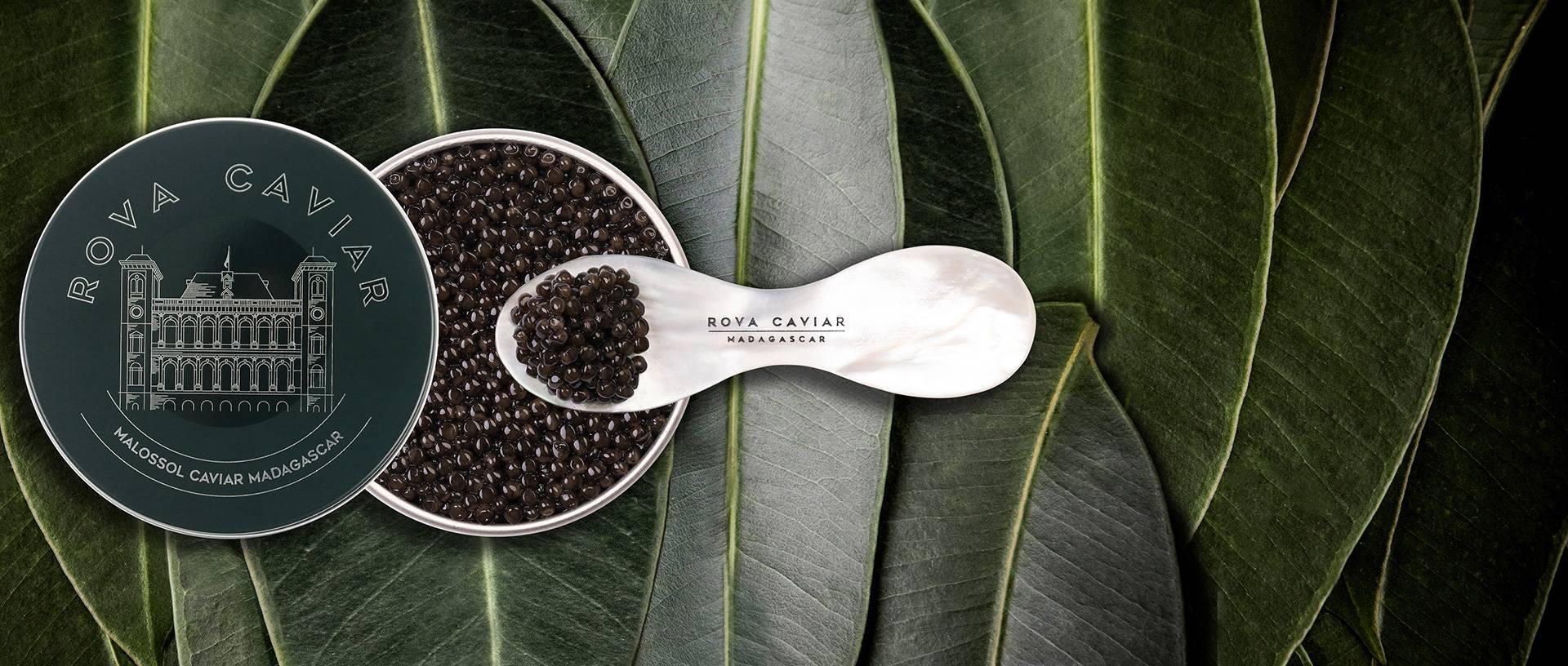 Baeri Royal - Rova Caviar Madagascar