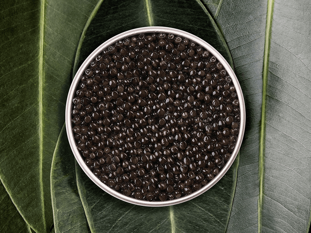 Baeri Royal - Rova Caviar Madagascar