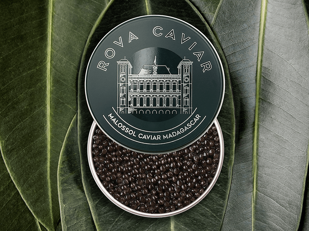 Baeri Royal - Rova Caviar Madagascar