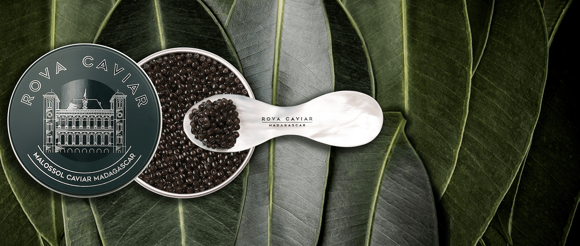 Baeri Royal - Rova Caviar Madagascar