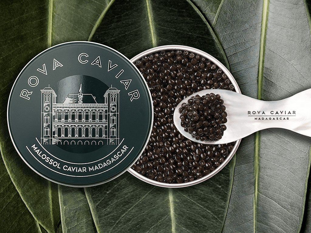 Baeri Royal - Rova Caviar Madagascar