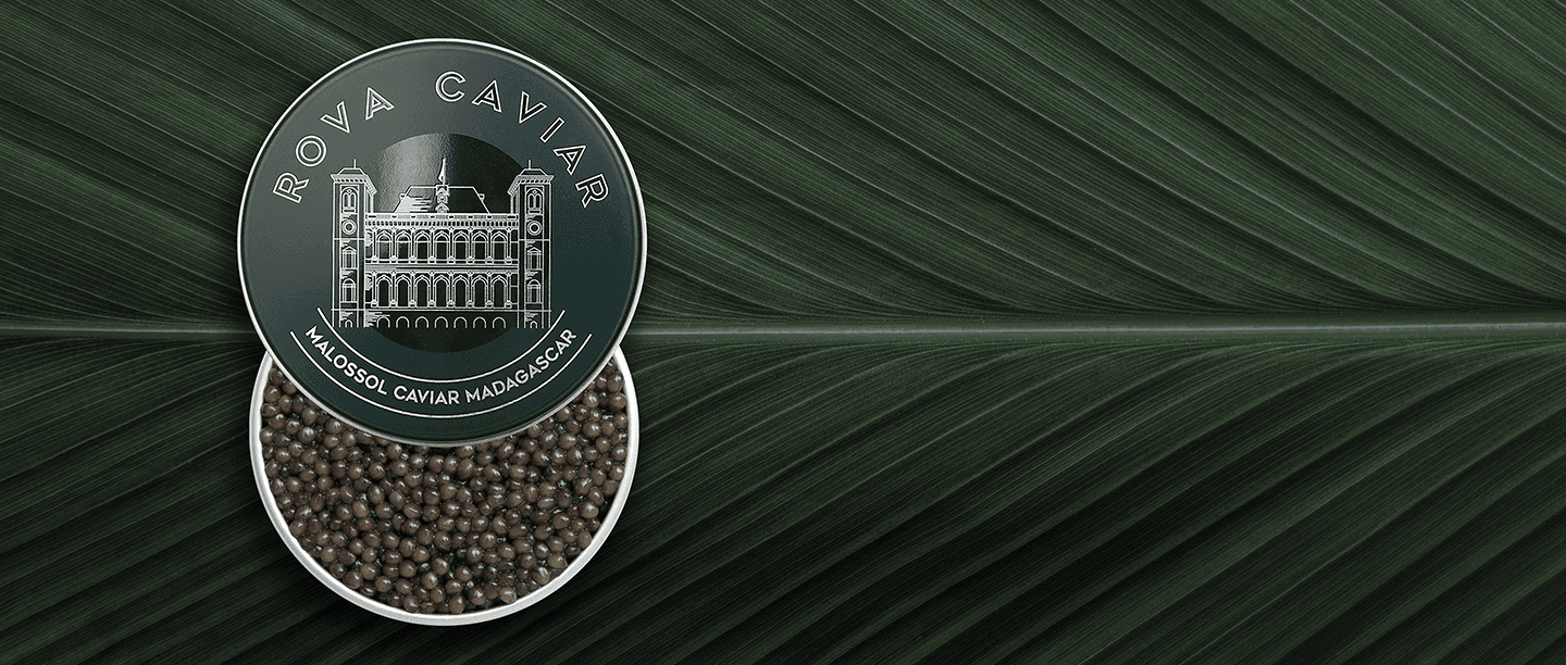 Imperial Ossetra - Rova Caviar Madagascar