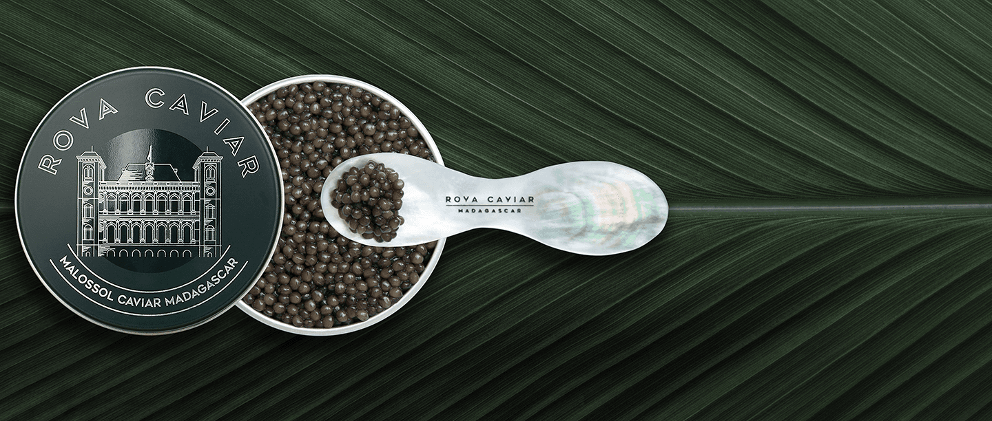 Osciètre Imperial - Rova Caviar Madagascar