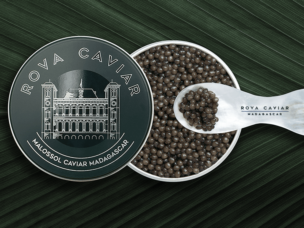 Osciètre Imperial - Rova Caviar Madagascar