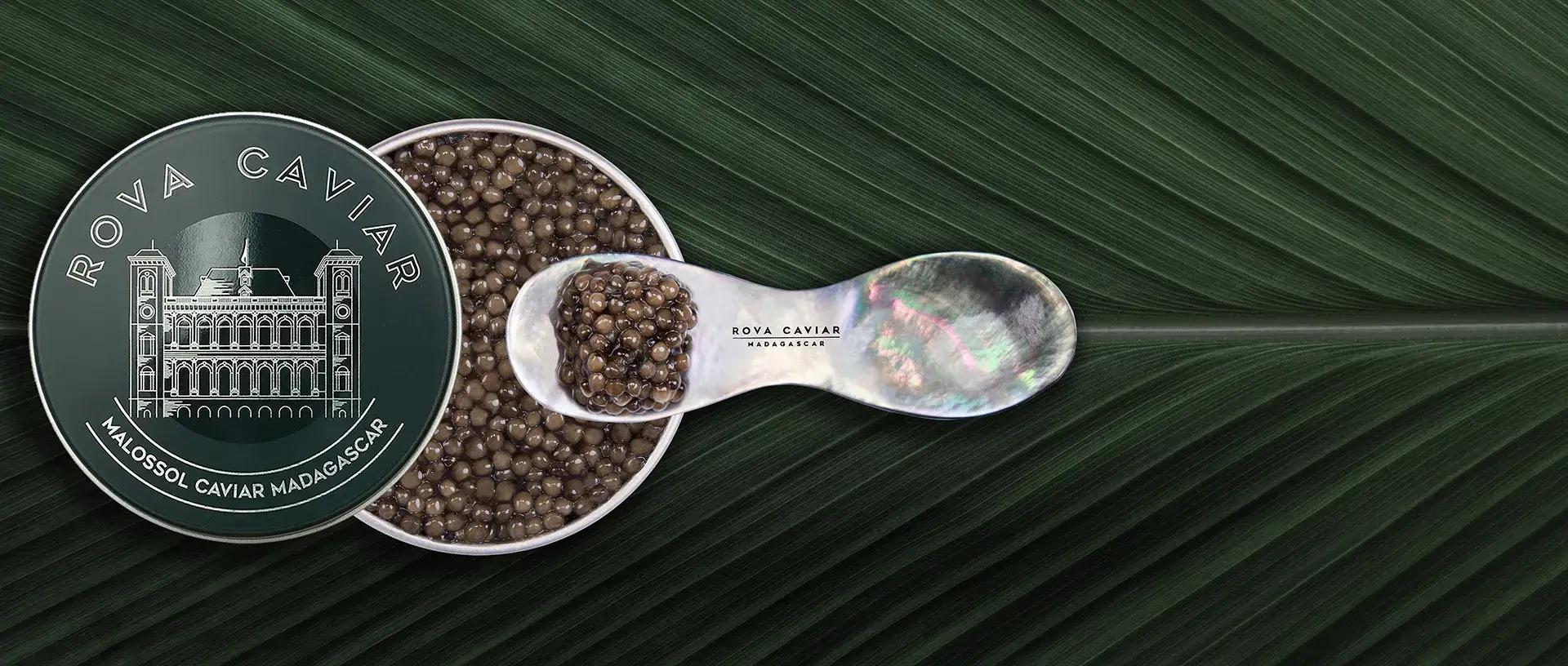 Imperial Ossetra - Rova Caviar Madagascar